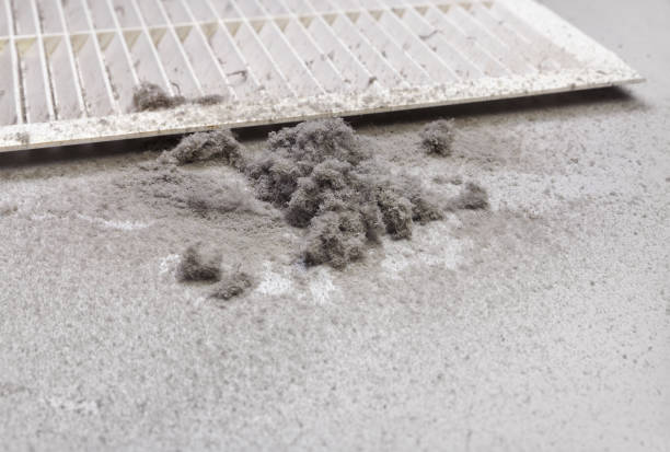 Best HVAC Maintenance and Cleaning  in Kimberling City, MO
